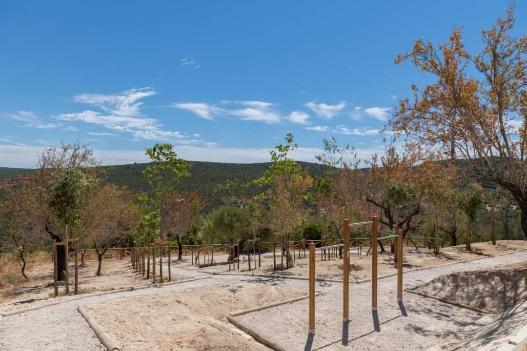 "Oliveiras" Appartement Typique Avec Terrasse Et Piscine Loulé Exteriér fotografie